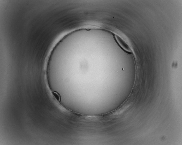 X0000102491488200809051310