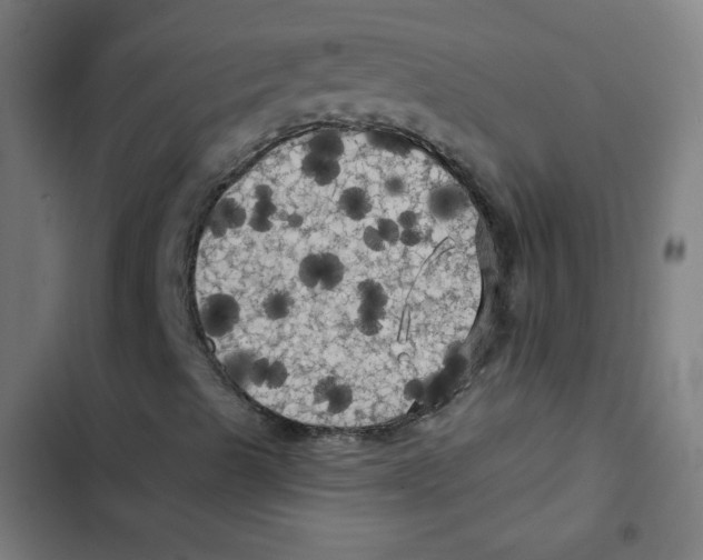 X0000102491489200809051310