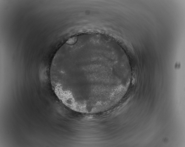 X0000102491490200809051310