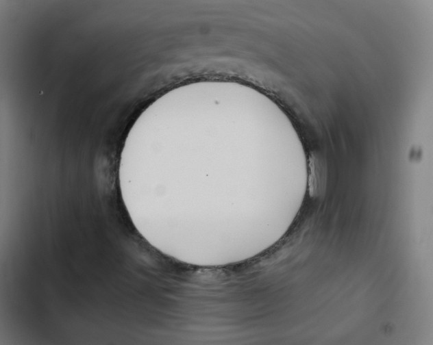 X0000102491491200809051310