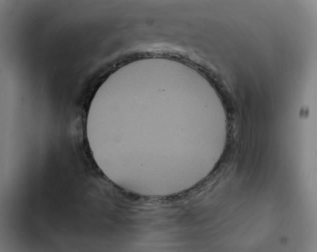 X0000102491493200809051310