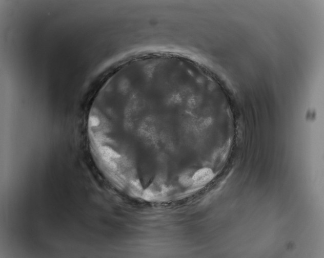 X0000102491494200809051310