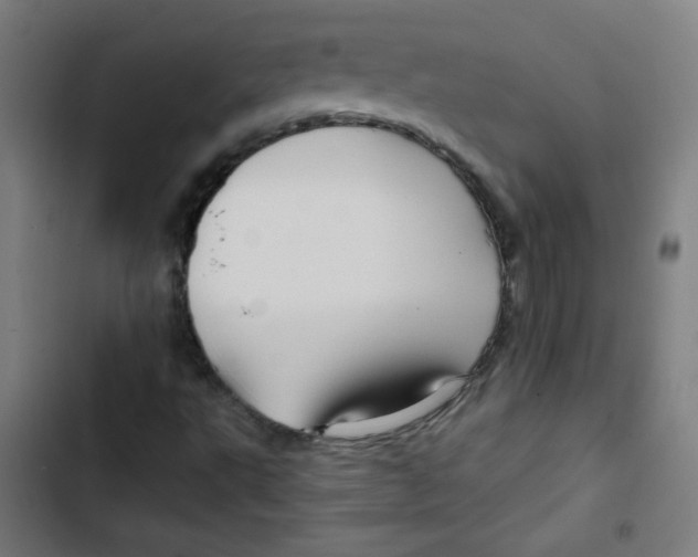 X0000102491495200809051310