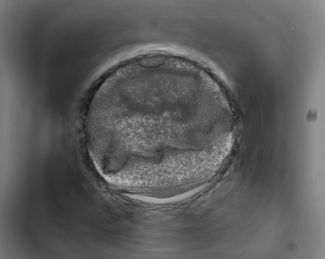 X0000102491496200809051310