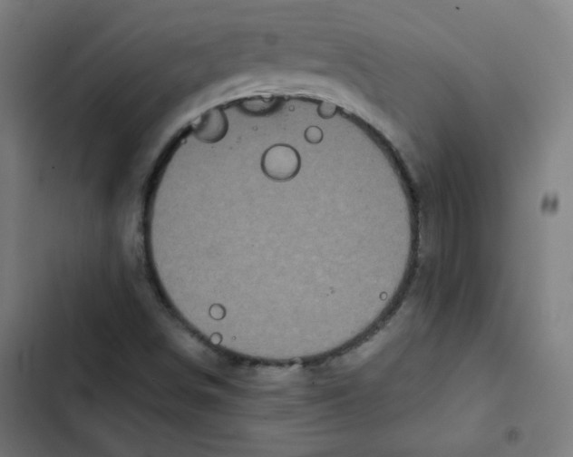 X0000102491498200809051310