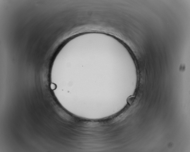 X0000102491499200809051310