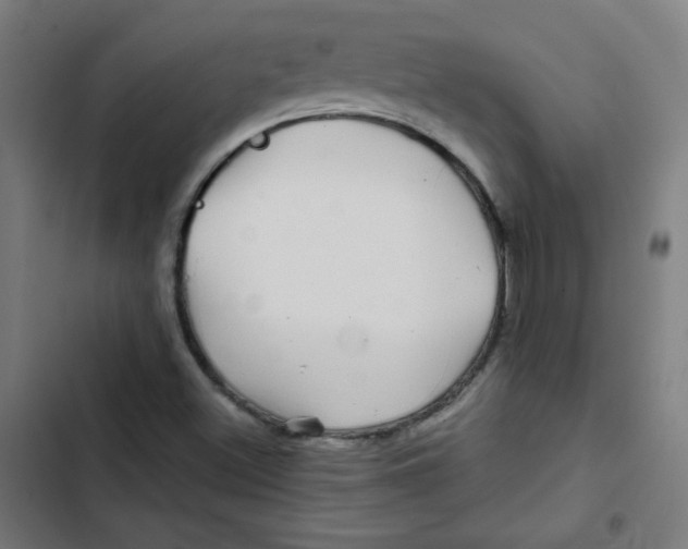 X0000102491500200809051310