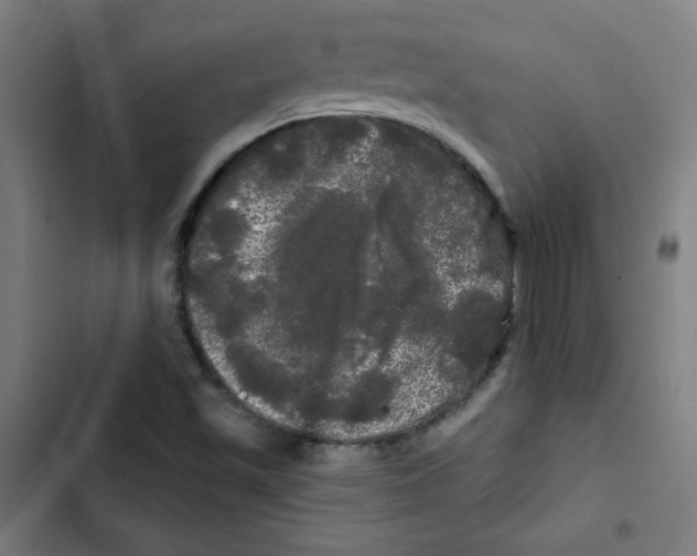 X0000102491501200809051310