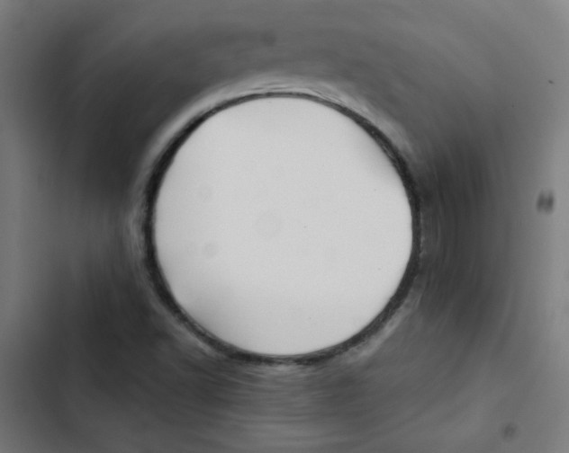 X0000102491502200809051310