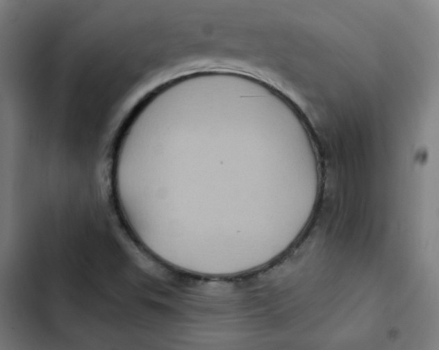 X0000102491503200809051310