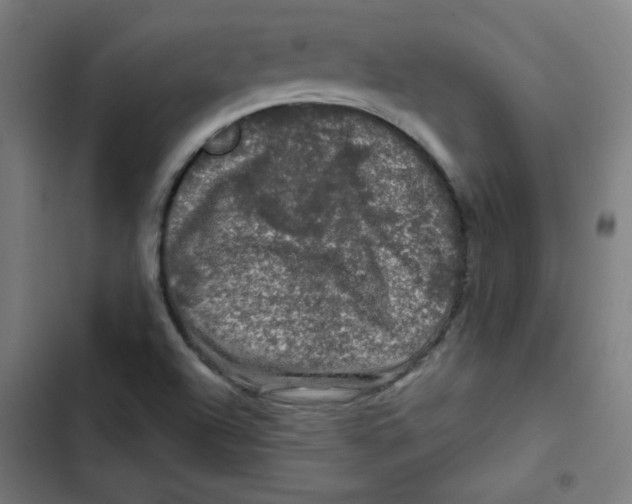 X0000102491504200809051310