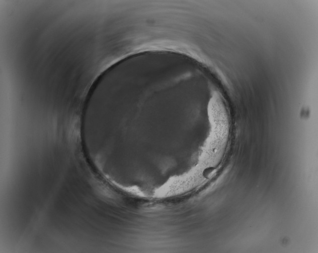 X0000102491505200809051310