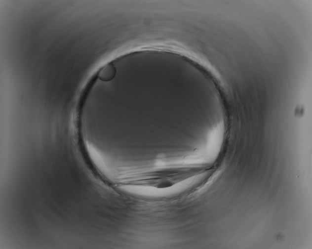 X0000102491506200809051310