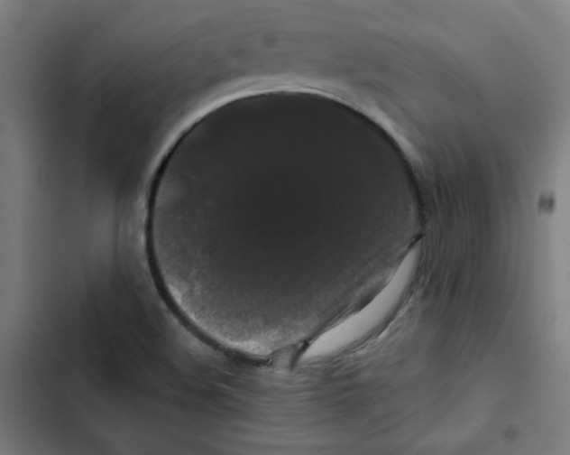 X0000102491508200809051310