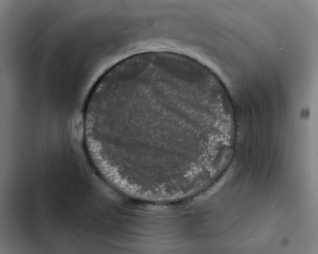 X0000102491509200809051310