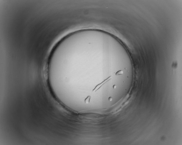 X0000102491510200809051310