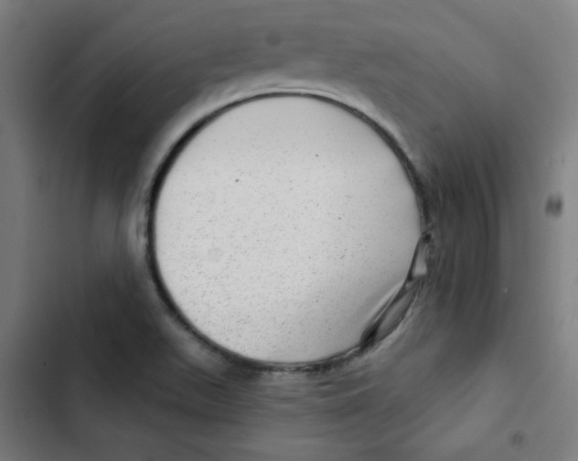 X0000102491511200809051310