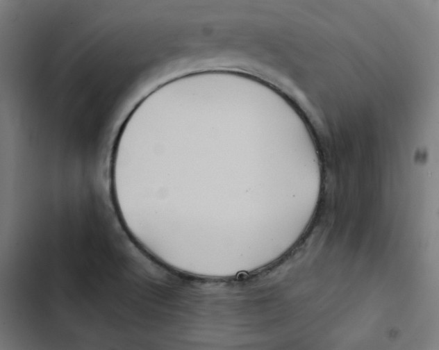 X0000102491512200809051310