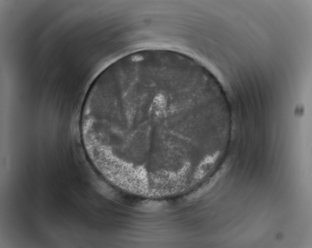 X0000102491513200809051310