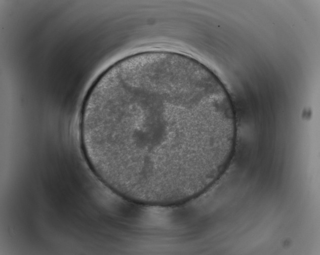 X0000102491514200809051310