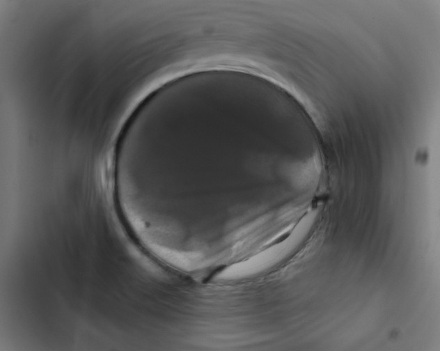 X0000102491515200809051310