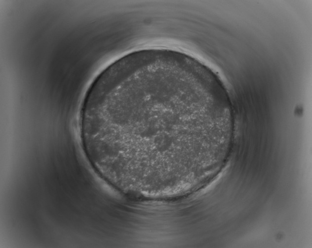 X0000102491517200809051310