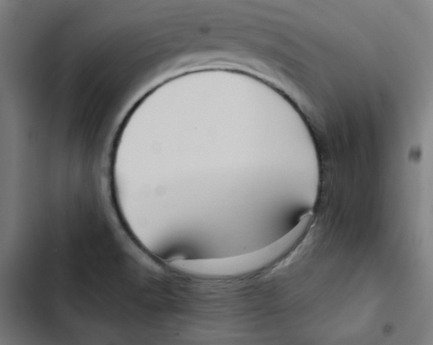 X0000102491518200809051310