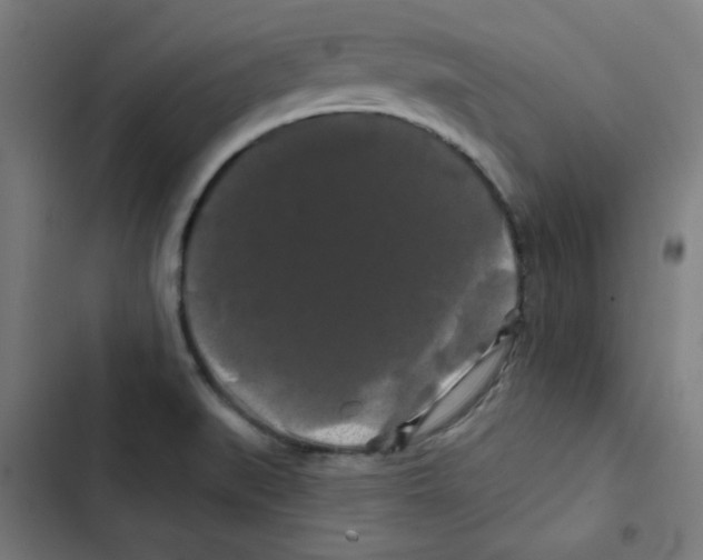 X0000102491519200809051310