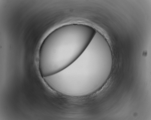 X0000102491520200809051310