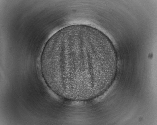 X0000102491521200809051310