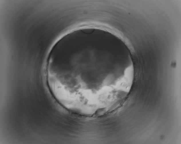 X0000102491522200809051310