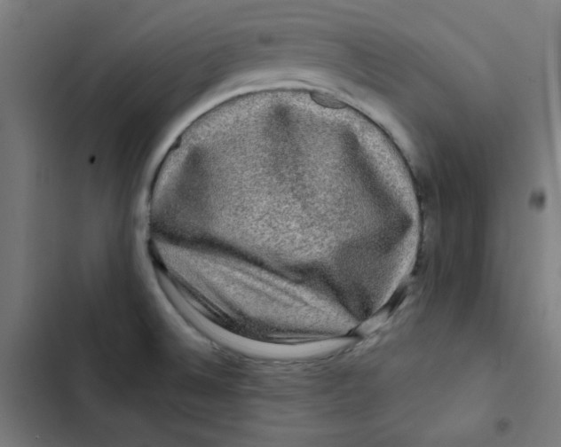 X0000102491524200809051310