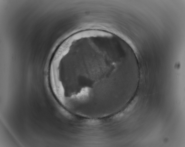 X0000102491525200809051310