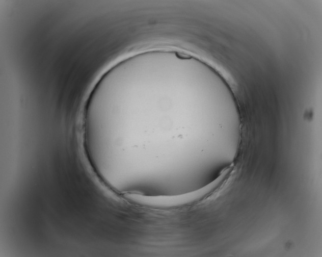 X0000102491526200809051310