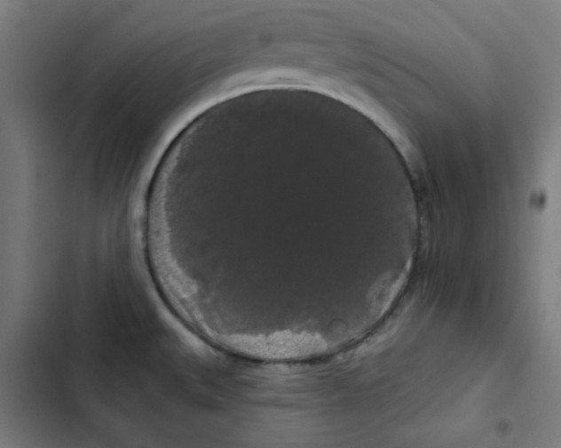 X0000102491527200809051310