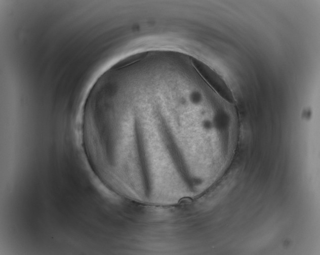 X0000102491528200809051310