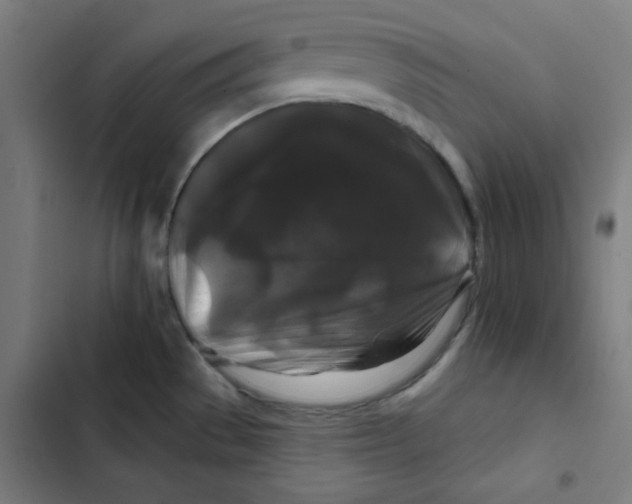 X0000102491529200809051310