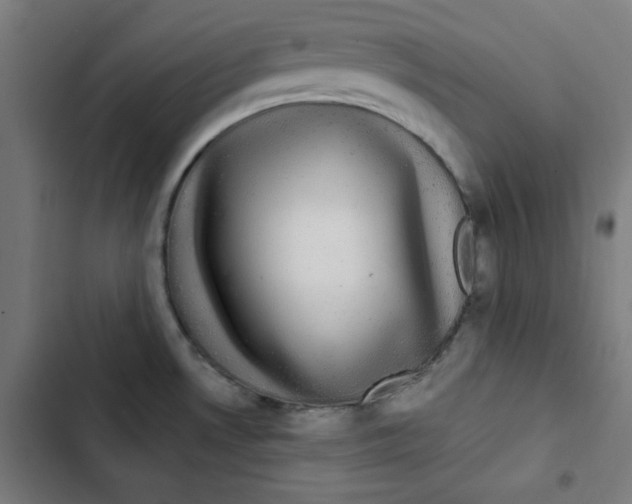 X0000102491530200809051310