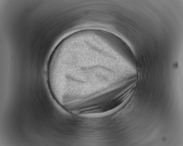 X0000102491531200809051310