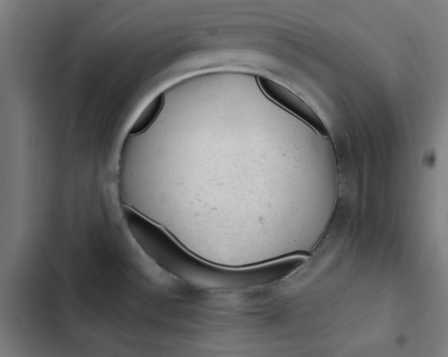 X0000102491532200809051310