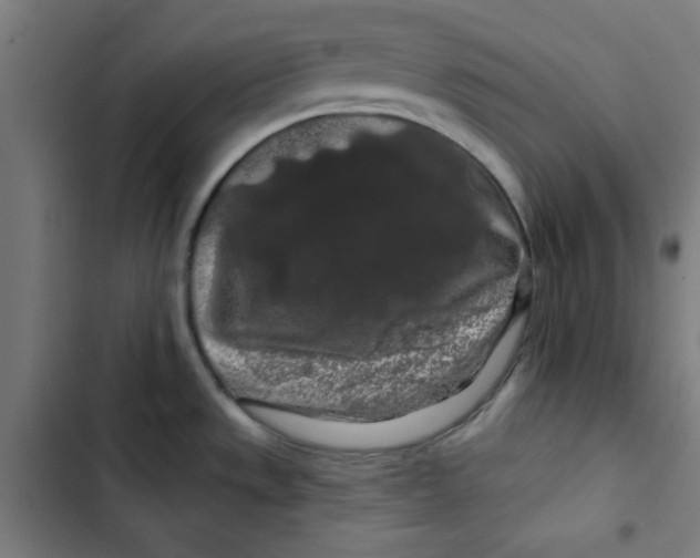 X0000102491533200809051310