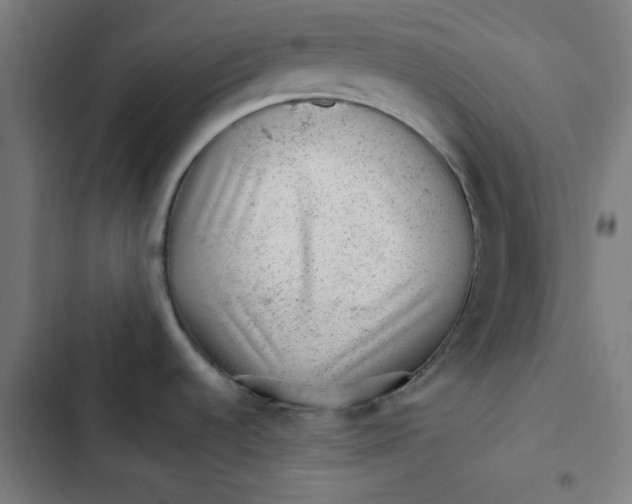 X0000102491536200809051310