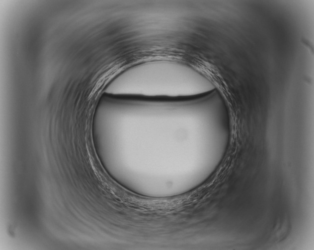 X0000102500001200808080955
