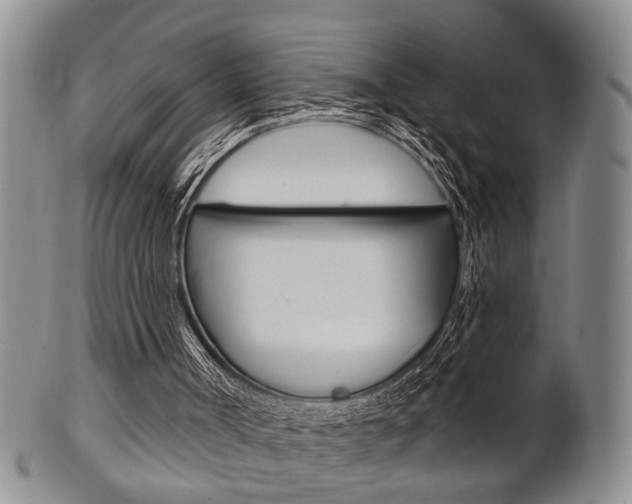 X0000102500002200808080955