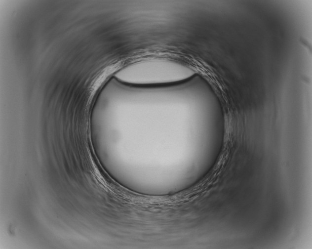 X0000102500003200808080955