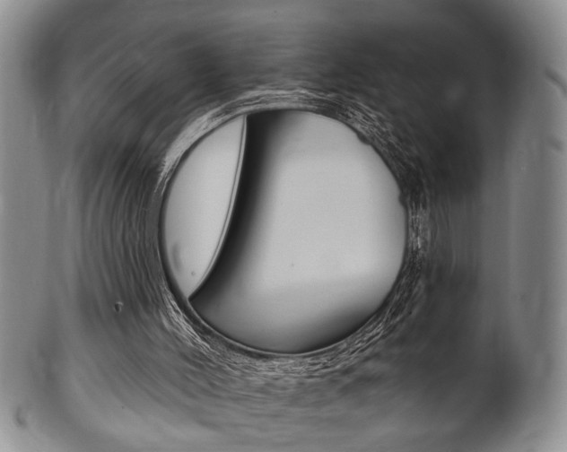 X0000102500004200808080955