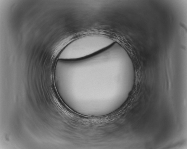 X0000102500005200808080955