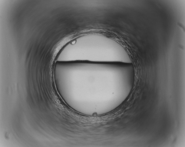 X0000102500006200808080955