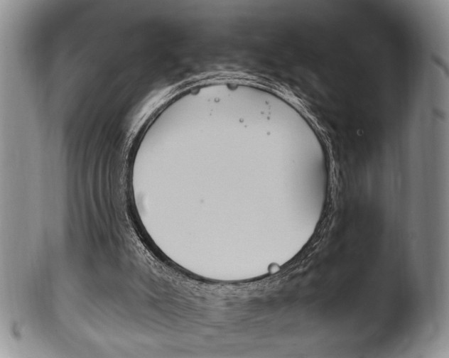 X0000102500007200808080955