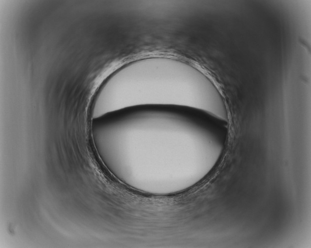 X0000102500008200808080955